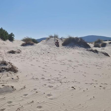 Casa Vacanza Mamaioa SantʼAnna Arresi Eksteriør bilde