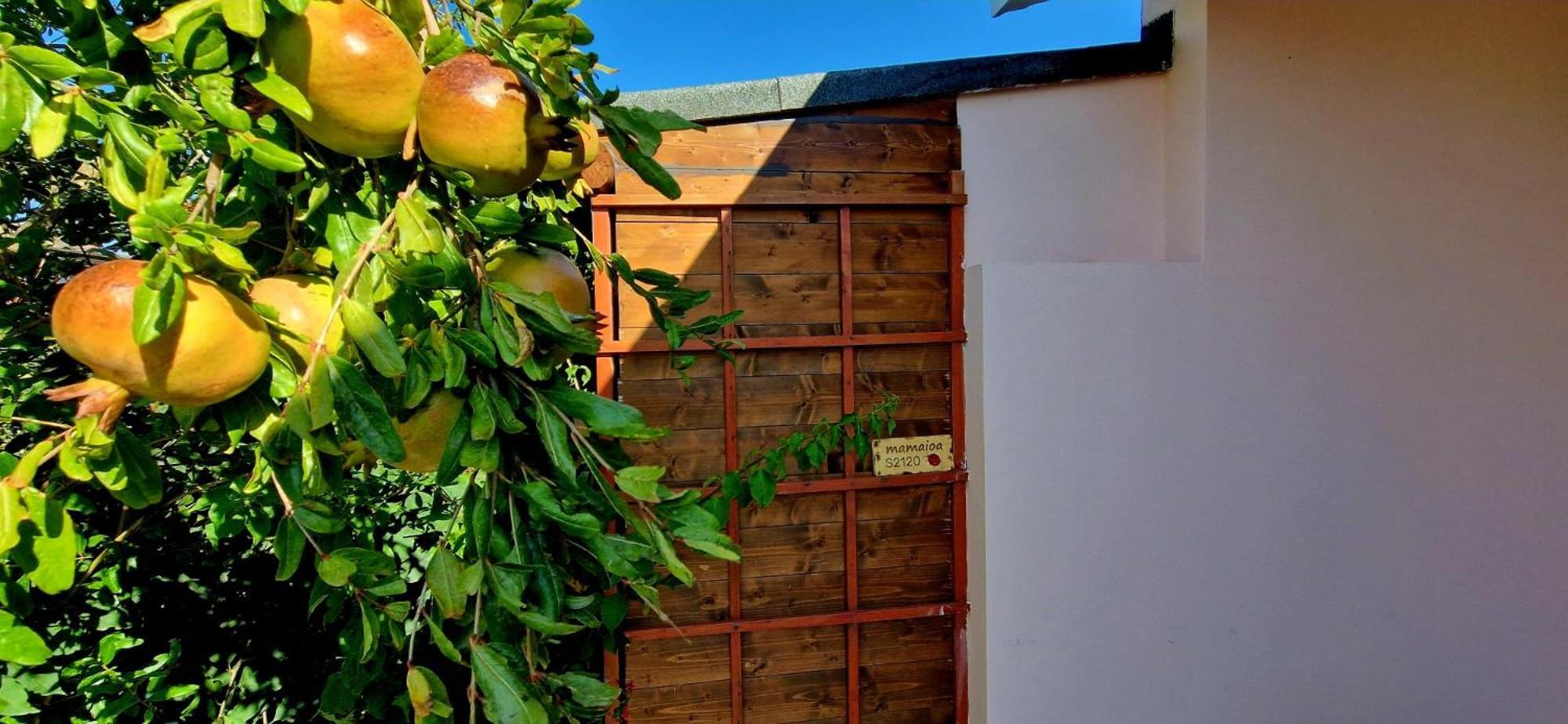 Casa Vacanza Mamaioa SantʼAnna Arresi Eksteriør bilde